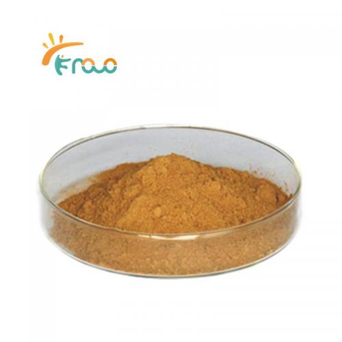  Factory Direct Sale Folium Mori Powder Mulberry Leaf Extract Folium Mori Extract الموردون