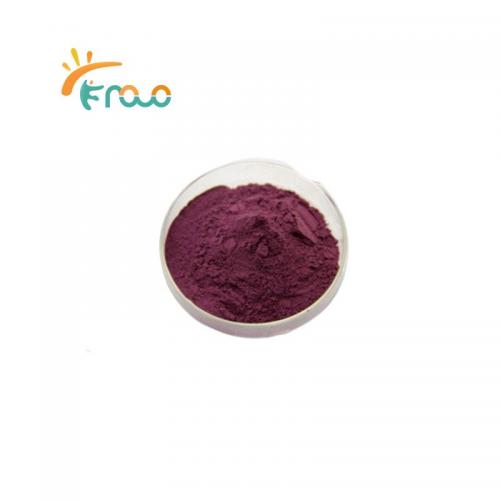  Beet Root Powder الموردون