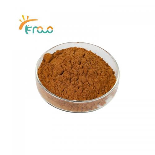  Lion's Mane Mushroom Extract Powder الموردون