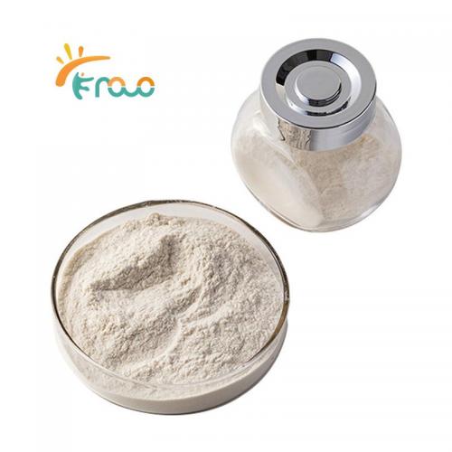  High Density Chitosan Powder الموردون