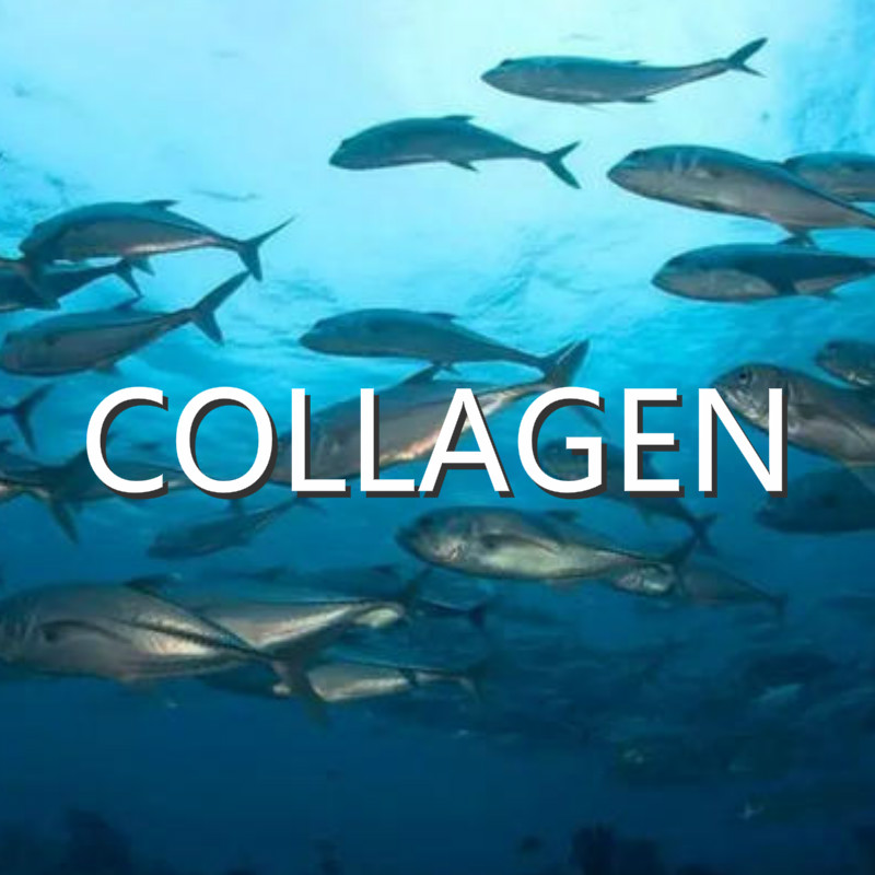مقارنة المكونات الكولاجين وأساليب إزالة الرائحة