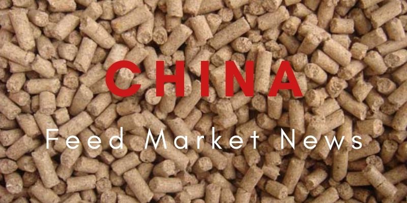 China Feed Maket News - تحليل سوق تصدير ليسين في سبتمبر 2021